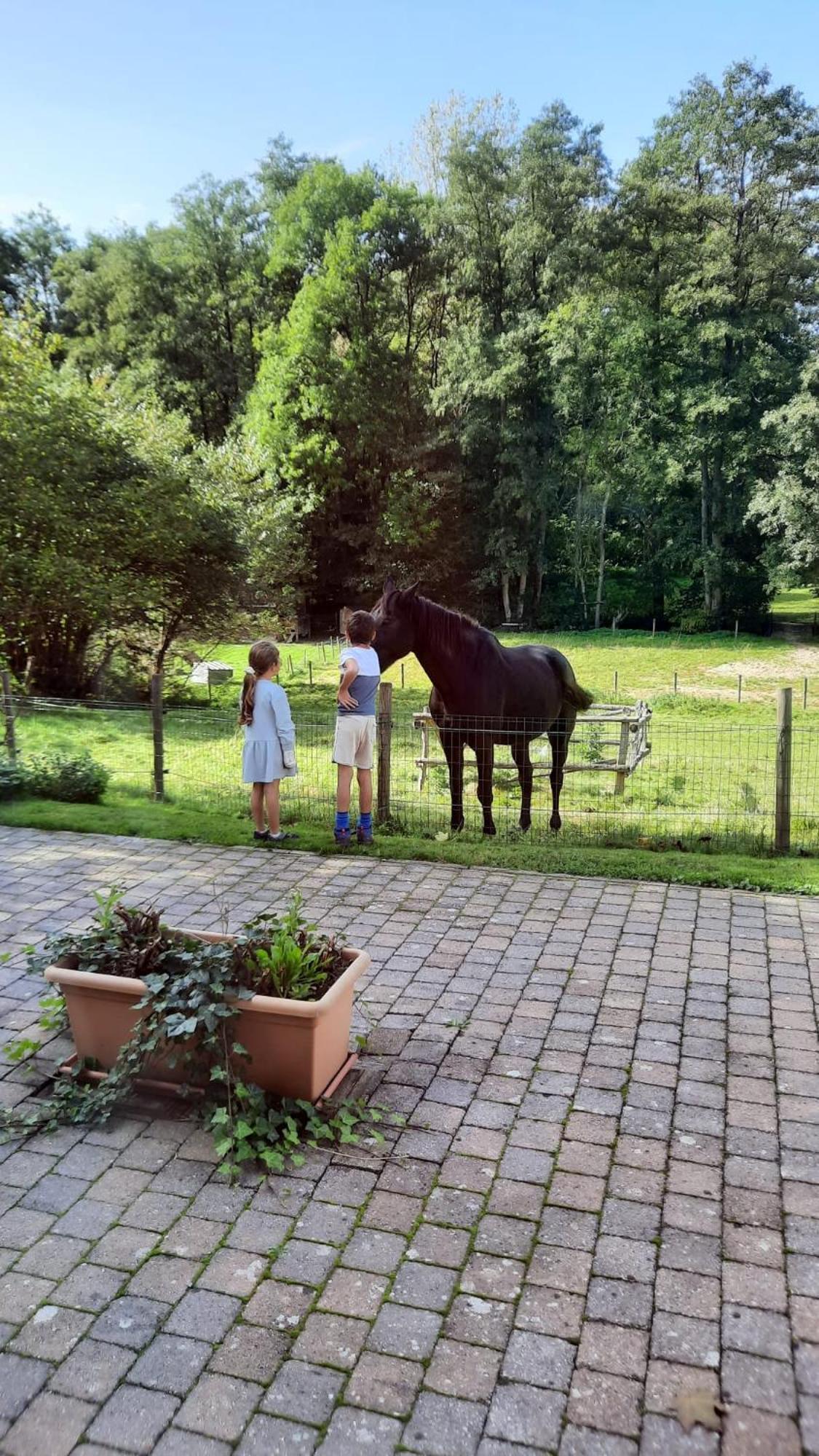 Au Coin Des Fagnes Appartement Jalhay Buitenkant foto